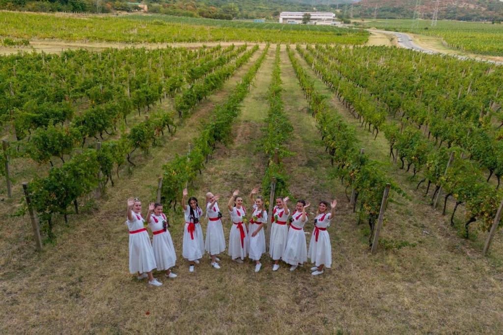 Villa Lily Novi Vinodolski Exteriér fotografie